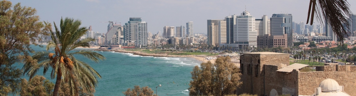 Panorama Tel Aviv (Alexander Mirschel)  Copyright 
Informazioni sulla licenza disponibili sotto 'Prova delle fonti di immagine'